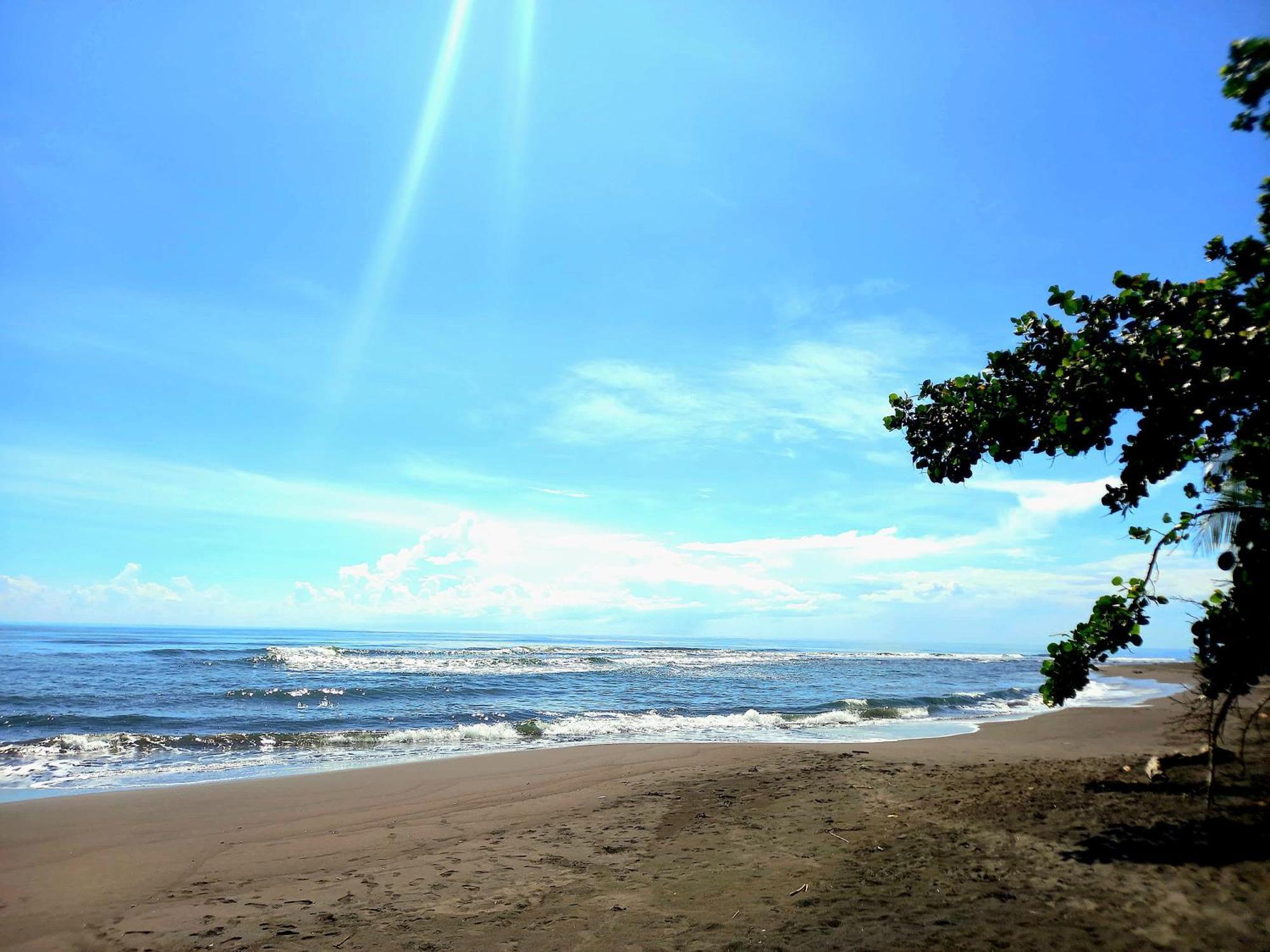 Tortuguero Adventures Beach House Extérieur photo