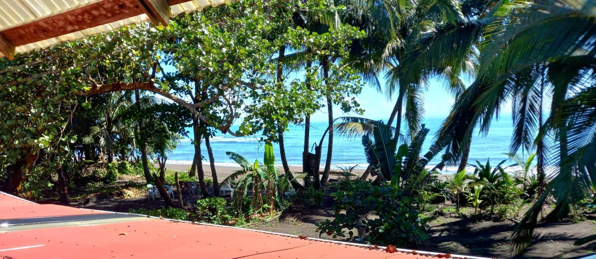 Tortuguero Adventures Beach House Extérieur photo