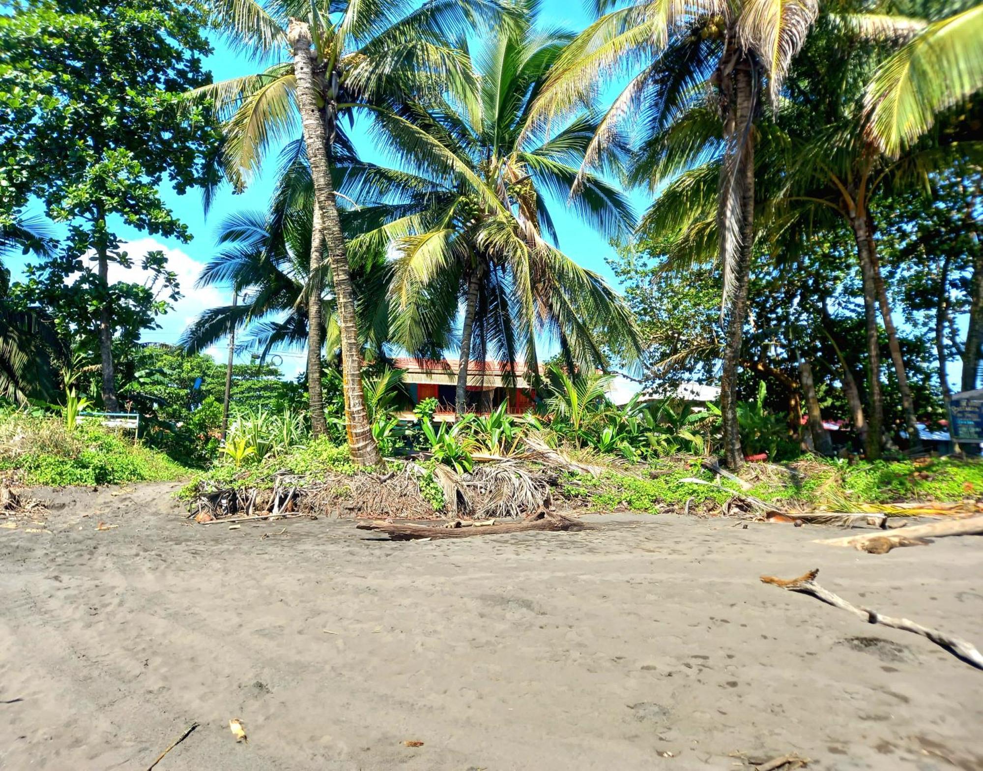 Tortuguero Adventures Beach House Extérieur photo