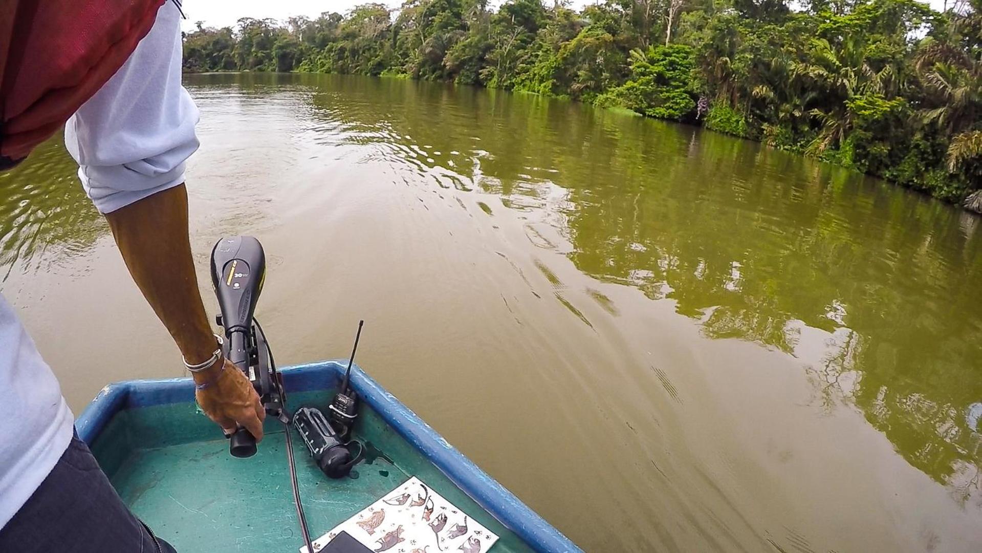 Tortuguero Adventures Beach House Extérieur photo