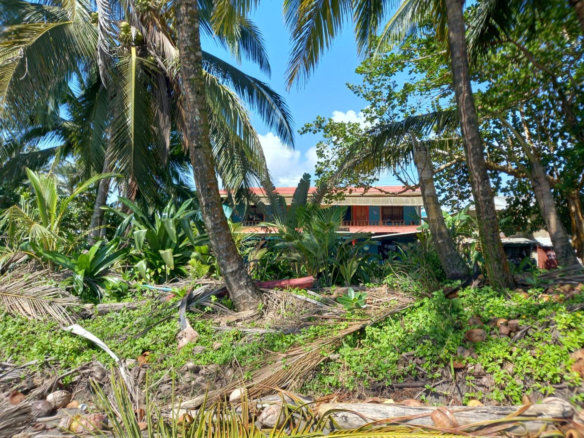 Tortuguero Adventures Beach House Extérieur photo