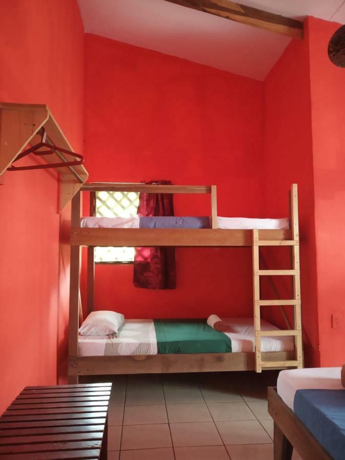 Tortuguero Adventures Beach House Extérieur photo