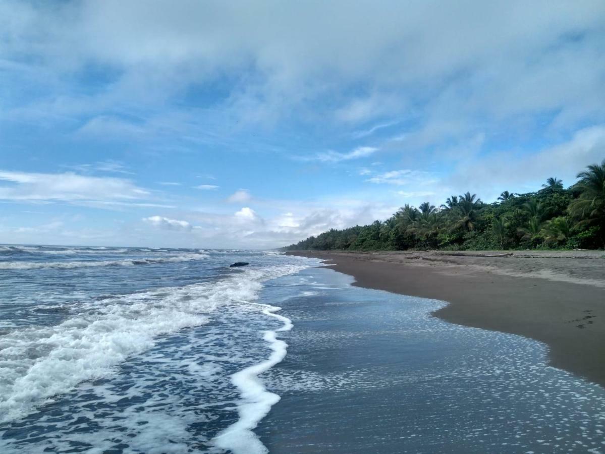 Tortuguero Adventures Beach House Extérieur photo