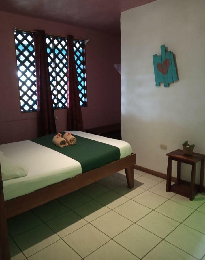 Tortuguero Adventures Beach House Extérieur photo