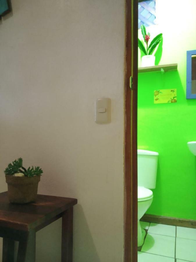 Tortuguero Adventures Beach House Extérieur photo